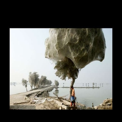 America's first - climate, mobility and unconventional paths