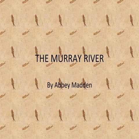 The Murray River | PPT