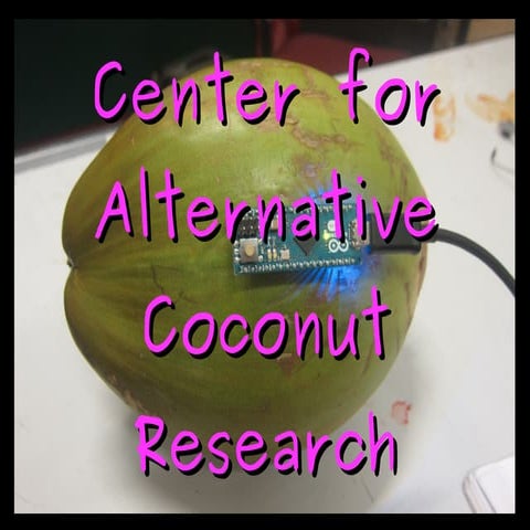 Dusjagr talks about coconuts at x-factory