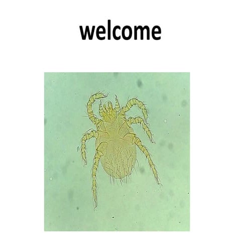 Dust mite ,house hold allergies and management