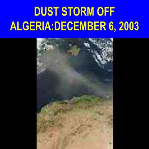 Dust Storm Disasters in the Sahara