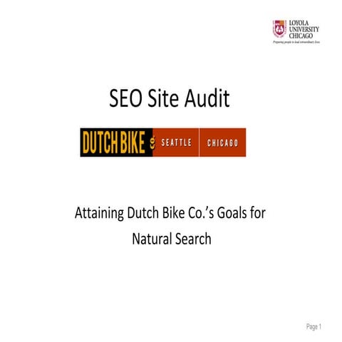 Dutch bike co seo audit