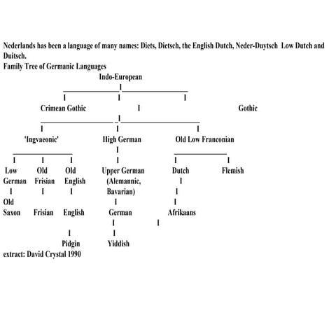 Dutch language development | PPT
