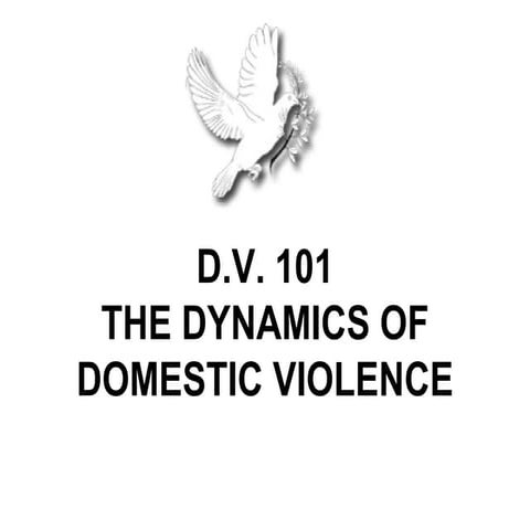 Dv 101 powerpoint (2)