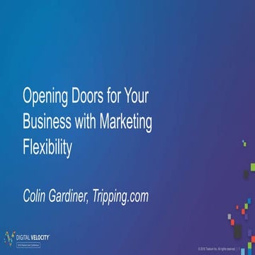 DV 2016: Opening Doors for Your Business with Marketing Flexibility