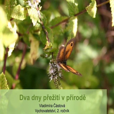 Dva dny přežití v přírodě