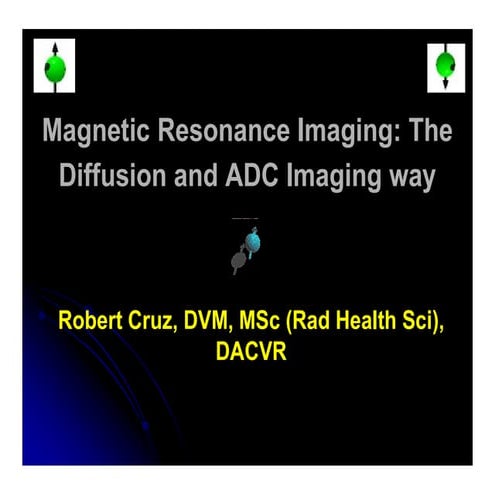DWI/ ADC MRI principles/ applications  in veterinary medicine