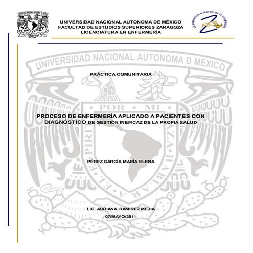 Ejemplo de Proceso de Atencion de Enfermeria (PAE) - Document Preview