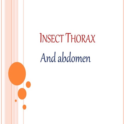 DXMZeSA9XlTV41c6928.pptx