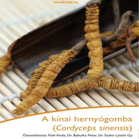 DXN Cordyceps füzet (kávékiraly.hu)