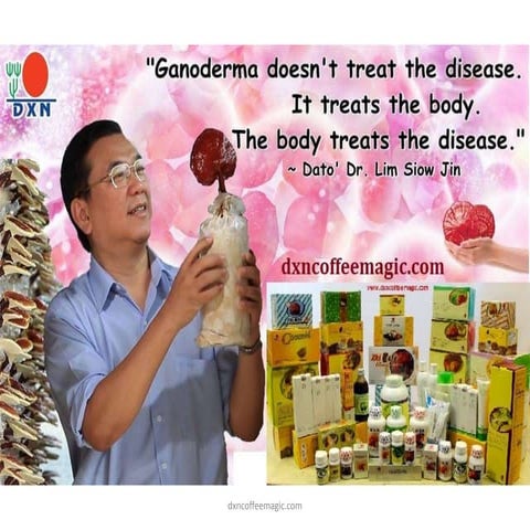 Ganoderma lucidum | DOCX