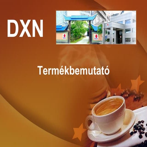 DXN részletes termékbemutató árakkal 