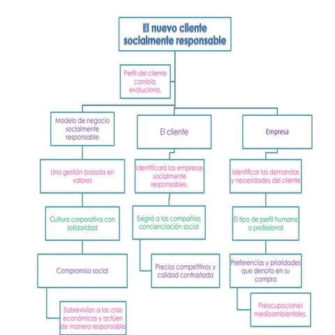 mapa el nuevo cliente socialmente responsabe 