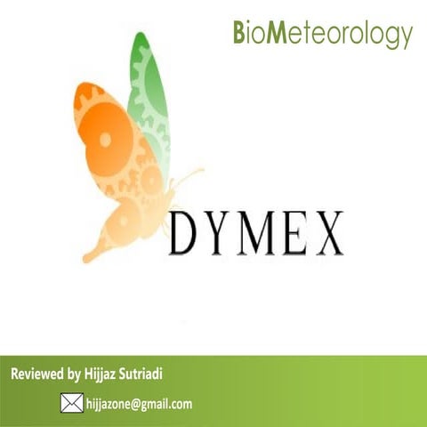 DYMEX Review for Start-Up (Lite)