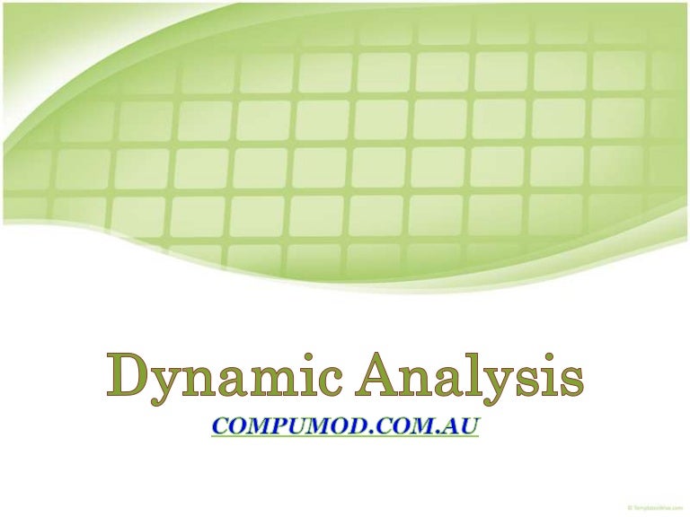 Dynamic Analysis