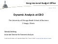 Dynamic Analysis at CBO