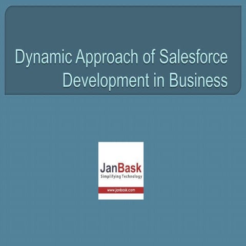 Dynamic approach of salesforce development in business