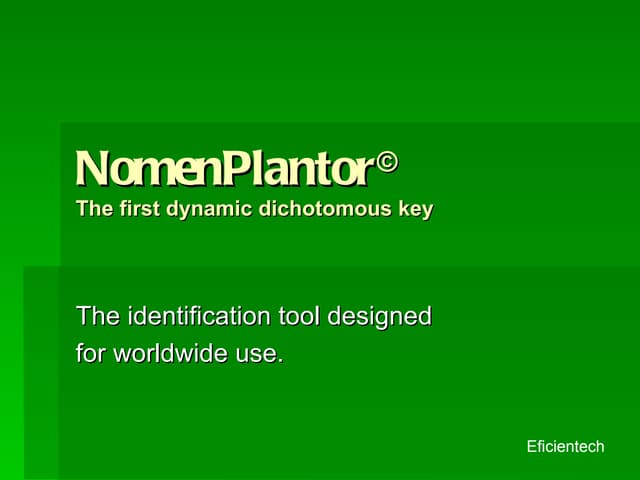 Dynamic dichotomous keys