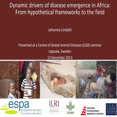 Dynamic drivers of disease emergence in Africa: From hypothetical frameworks ...