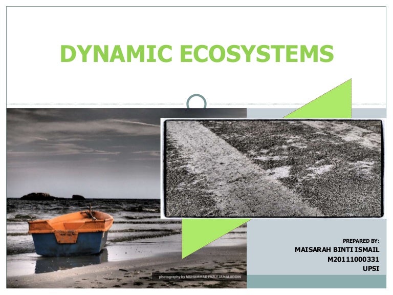 Dynamic ecosystem