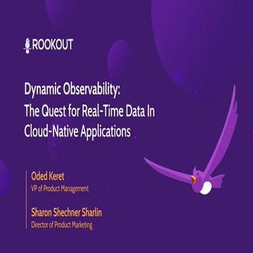 Dynamic observability  the quest for real time data in cloud-native applications
