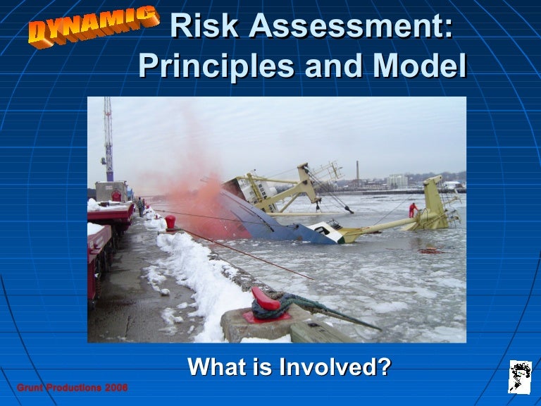 Dynamic risk assessment lrg