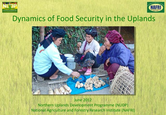 Dynamics of food security in the up...