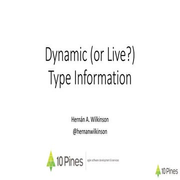 Dynamic Type Information