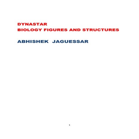 Dynastar Biology Figures and Structures By Abhishek Jaguessar