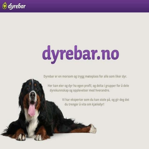 VGs Nina Schmidt om nysatsningen Dyrebar