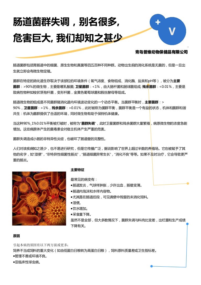 Dysbiosis 肠道菌群失调