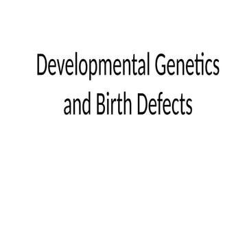 Birth Defects | PPT