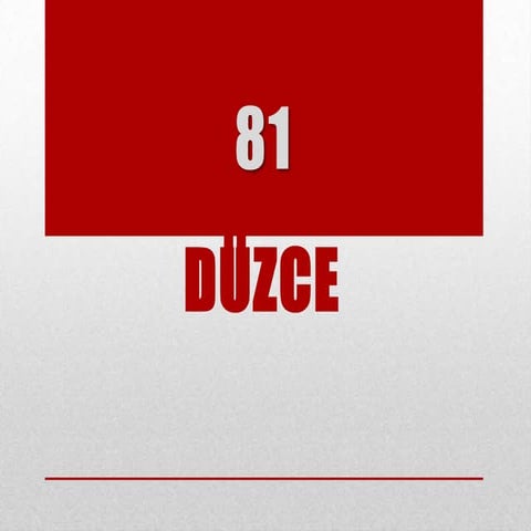 Düzce 81 | PPTX