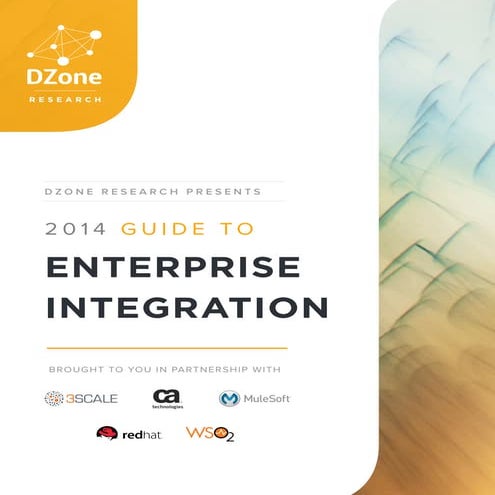 Dzr guide to_enterprise_integration