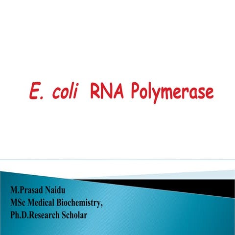 E.coli rna polymerase