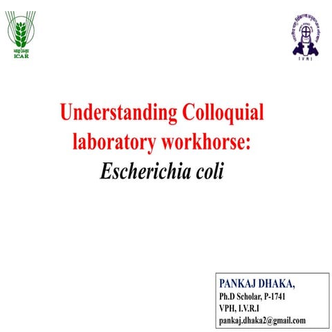 Understanding Colloquial laboratory workhorse:  Escherichia coli