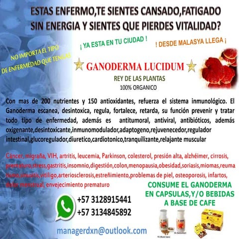 DXN COLOMBIA EQUIPO ALFA OPORTUNIDAD DE NEGOCIO EN COLOMBIA Y EL MUNDO