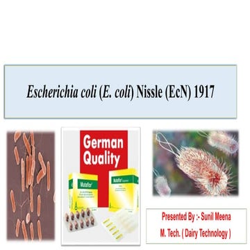 Escherichia coli (E. coli) Nissle (EcN) 1917
