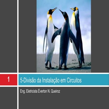 E cap 5- divisão da instalação em circuitos