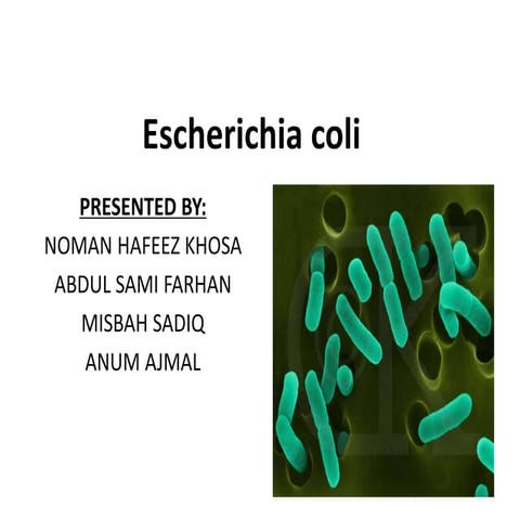 E coli