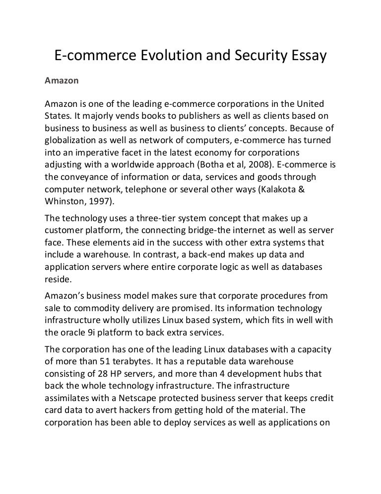 internet security essay