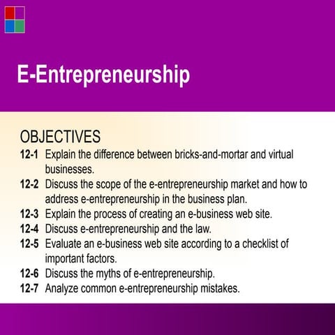 Topic 9 E entrepreneurship