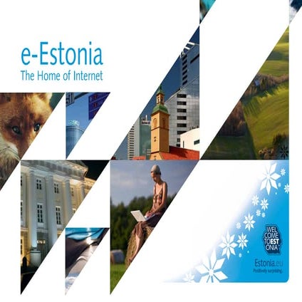 E-estonia 2010
