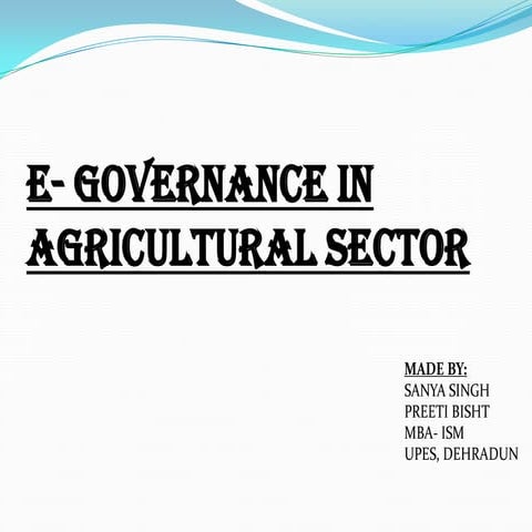 E  governance in agricultural sector