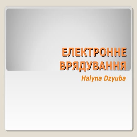 Програма Лесі Оробець: Електронне урядування