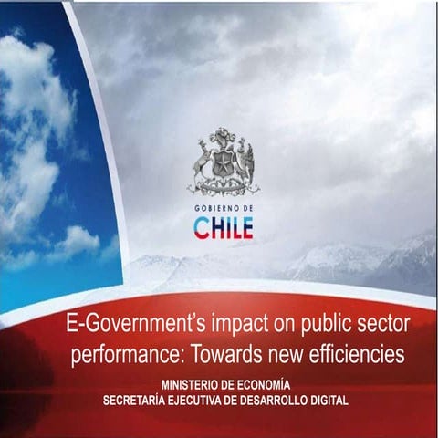 E government impact on public sector performance