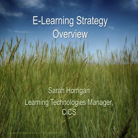 E learning strategy overview
