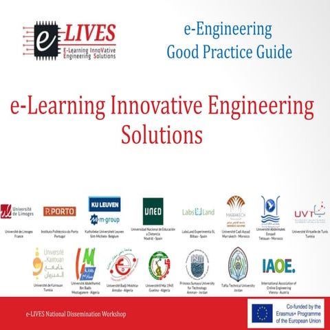 E-lives Good Practies Summary  