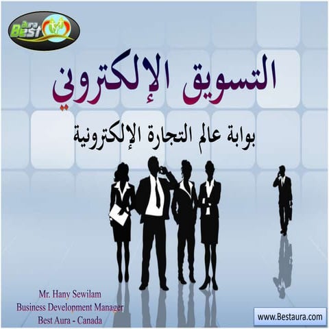 Electronic Marketing Presentation