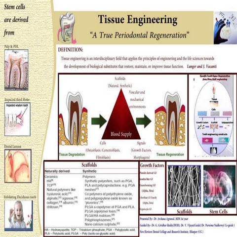 Tissue Engineering E poster ppt